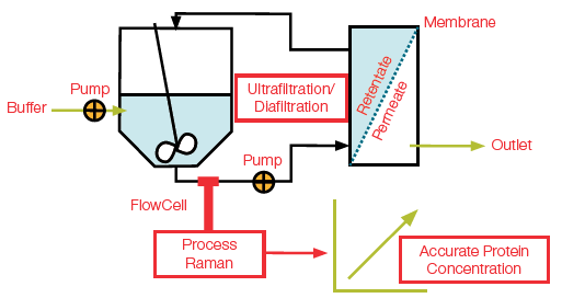 Diagram showing integration of process Raman in a UF/DF process using a flowcell probe for in-line estimation of accurate protein concentration