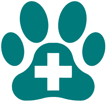 The unique challenges of CMC in veterinary drug development