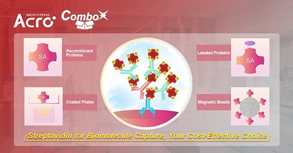 Streptavidin (SA) Series Products