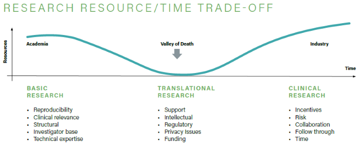 High-content analysis and its role in live-cell imaging