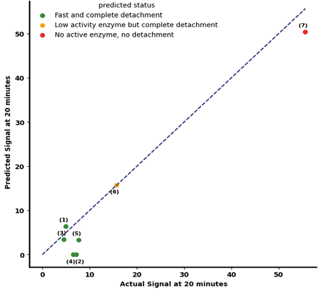 The predictive performance of the developed model using permittivity signals obtained from the Incyte Arc Expert sensor