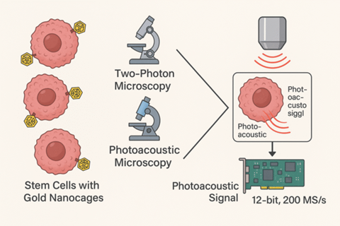 Breakthrough imaging for early ovarian cancer detection with GaGe digitizers