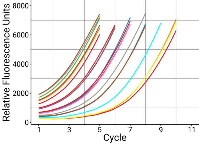 Proper amplification of samples in a single run with AutoNorm. All samples, regardless of input amount showed a consistent amplification stopping point, showcasing the ability of iconPCR to individually control cycling conditions on independent wells