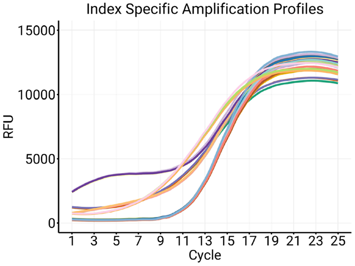 Amplification profiles for the same library amplified with 8 different indexes