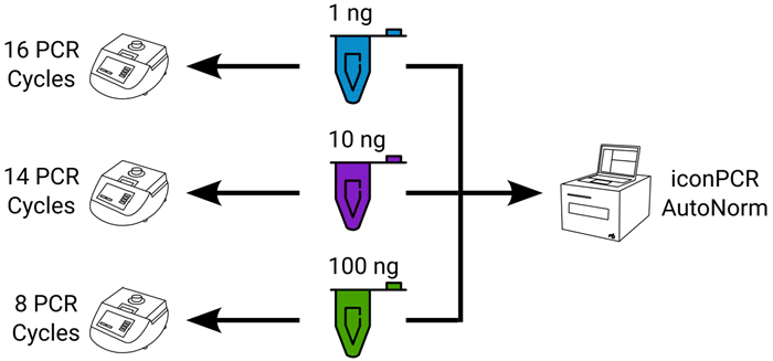 Experimental design showing sample distribution across workflows. For each sample tested, 1 ng, 10 ng, or 100 ng of RNA was used as input. For standard PCR, each input amount was used with a fixed number of PCR cycles, requiring three separate thermocycler runs. For iconPCR with AutoNorm, all samples were run simultaneously on a single instrument