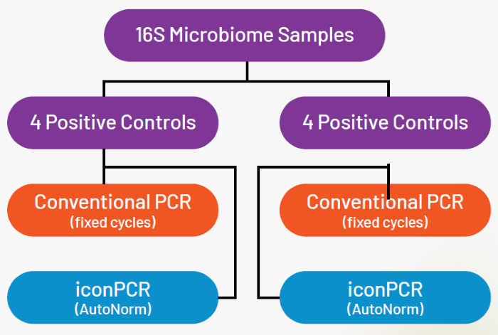Experimental design showing sample distribution across workflows