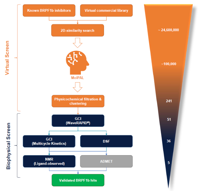 The BioPALS hit identification process is centred on the MolPAL algorithm and a GCI-driven biophysical hit confirmation workflow. In silico activities are displayed in orange, biophysical screening activities in blue and ADMET profiling in grey. The number of compounds processed though each individual stage for the BRPF1b bromodomain are shown on the right