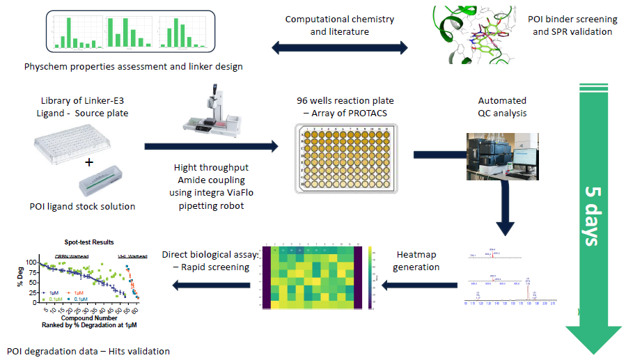 Overview of the automated D2B platform developed at Charnwood allowing high-throughput PROTAC hit finding and rapid SAR generation