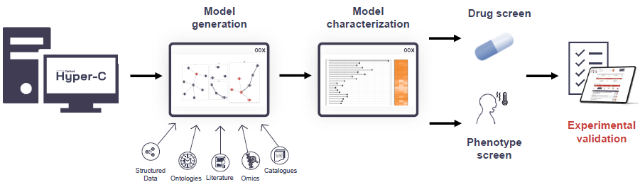Model generation and evaluation