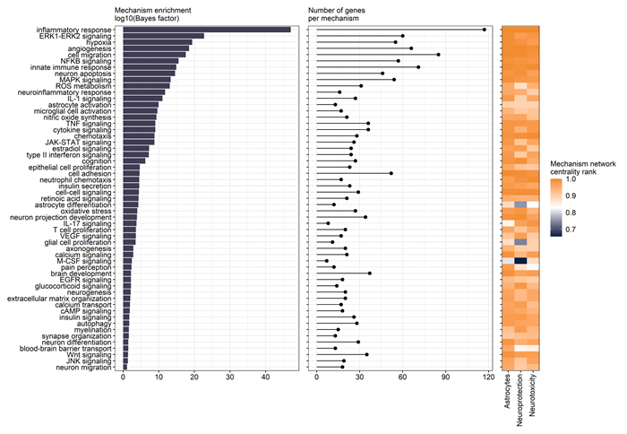 Mechanism enrichment