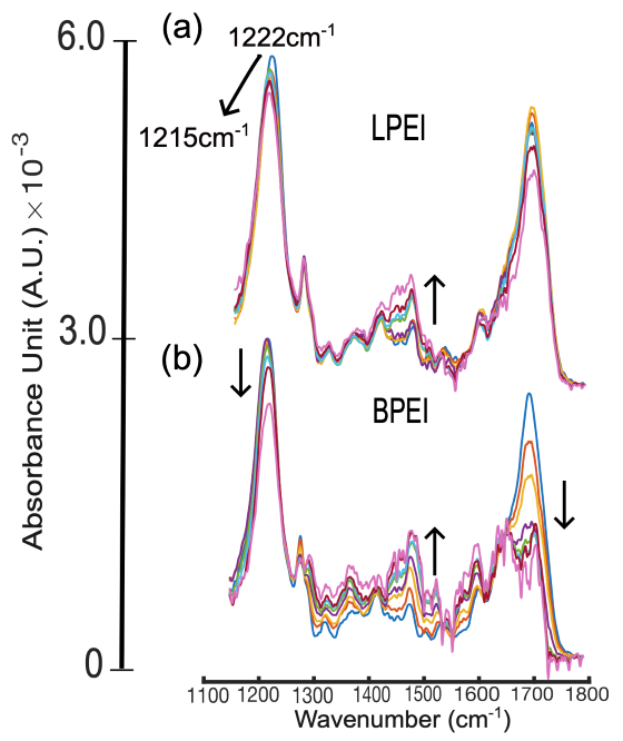 ATR-FTIR spectra of DNA in the presence of LPEI (a) and BPEI (b) in phosphate buffer (pH = 5.0). The black arrow indicates increasing N/P ratio from 0-3