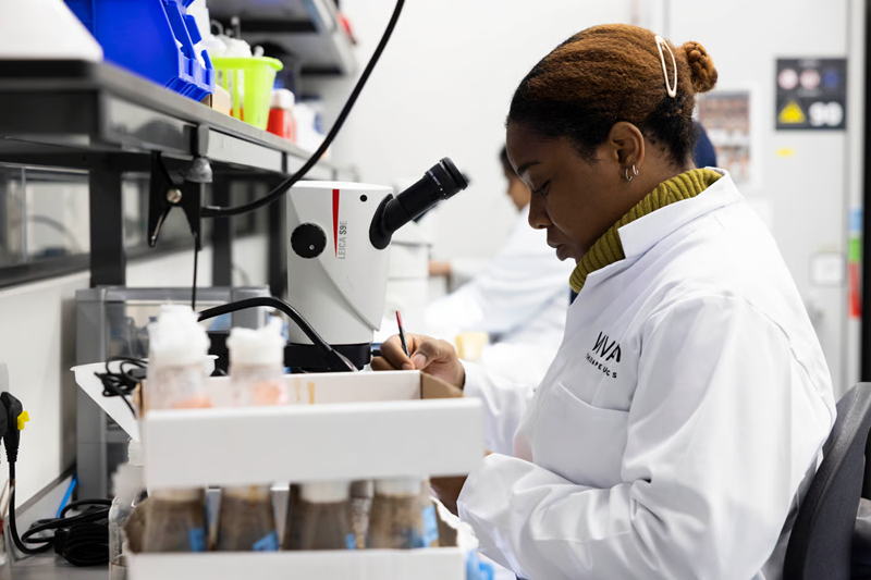 Revolutionizing cancer research with high-precision lab automation