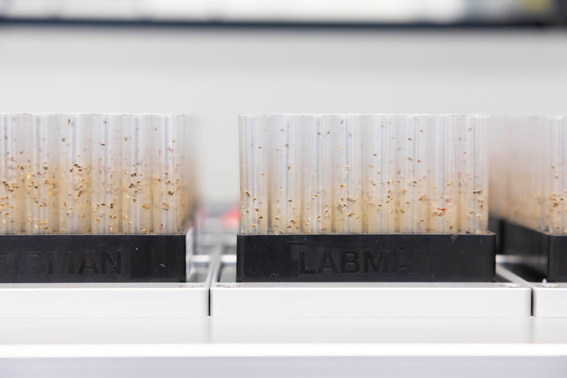 Revolutionizing cancer research with high-precision lab automation