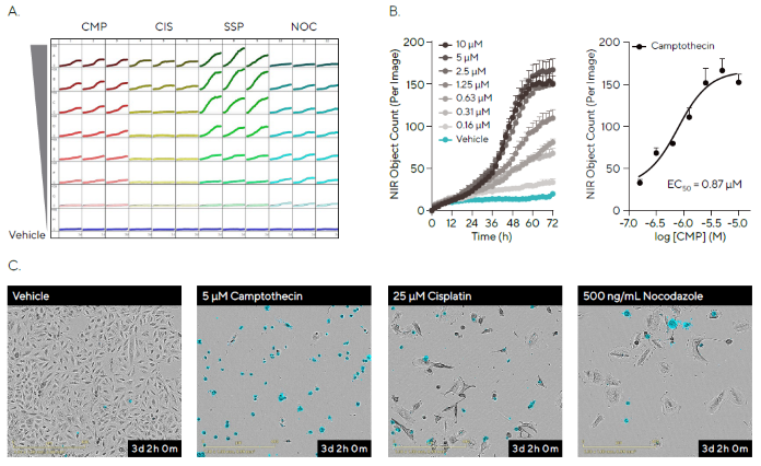 Pharmacological Analysis of Apoptosis in a High-throughput Manner