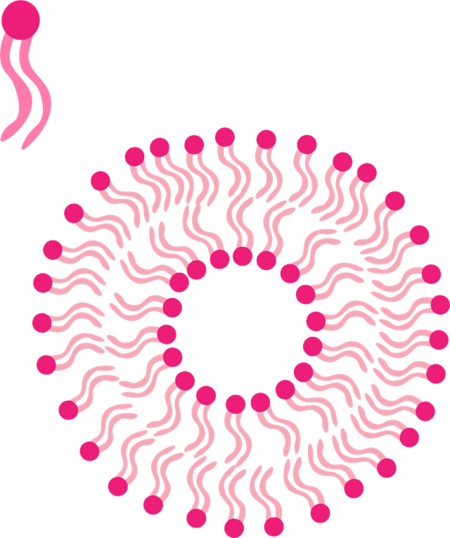 Depiction of a liposome, which can be used to encapsulate a biologic.