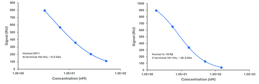 Representative standard curves for various His-tagged proteins.