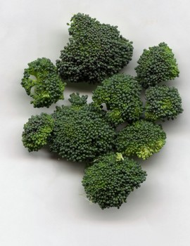 Broccoli