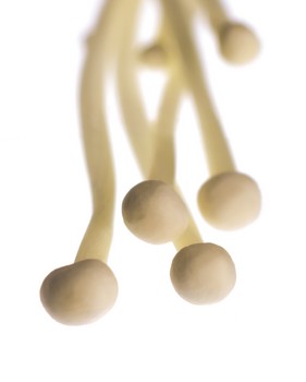 An analysis of previously uncharted chemical contents, mostly carbohydrates, in U.S.-consumed mushrooms shows that these fruity edible bodies of fungi could be tailored into dietary plans to help fill various nutritional needs.