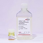 ACROBiosystem's CelThera™ GMP T Cell Expansion Medium (Phenol Red-free)