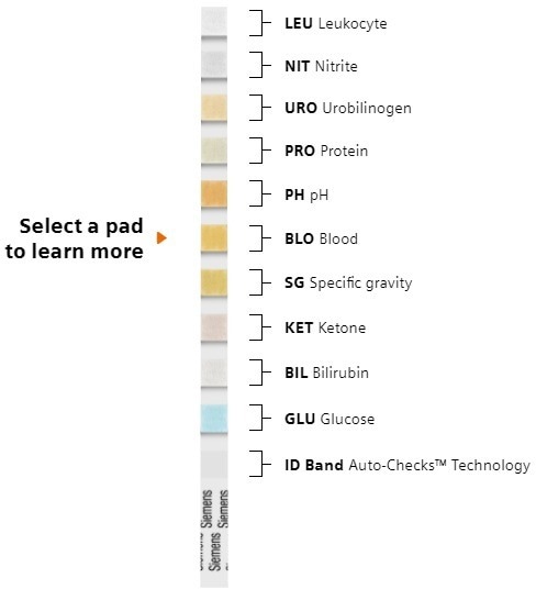 Multistix® 10 SG reagent strips