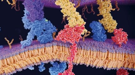 Sierra SPR-32 Pro for complex high-throughput applications