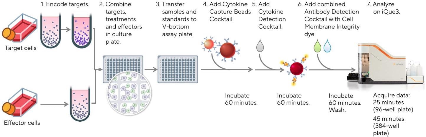 iQue® Immune Cell-based kits for immunophenotyping and function
