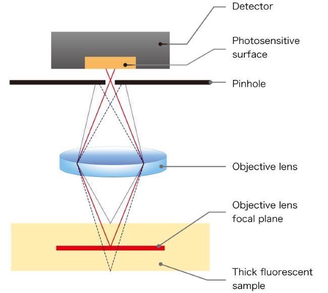Confocal MEMS unit for fluorescence imaging