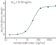 CAR-NK Cell Therapy: Therapeutic and recombinant targets