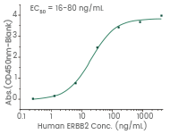 CAR-NK Cell Therapy: Therapeutic and recombinant targets