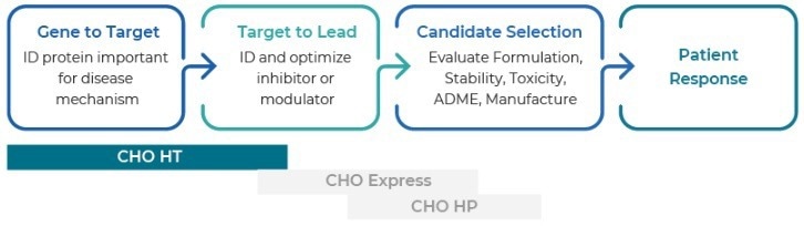 High throughput (HT) gene to antibody platform-TurboCHO