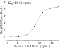 ADC target antigens in solid tumors