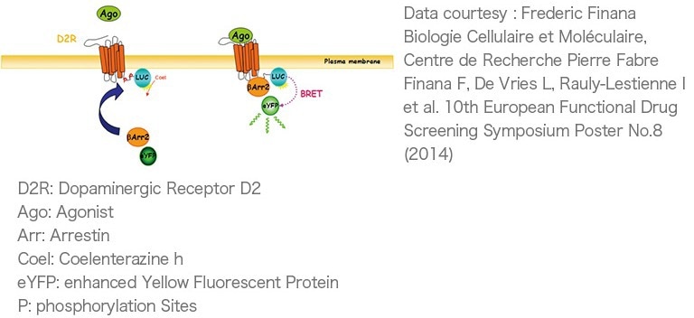 FDSS-GX Kinetic Plate Imager for HTS