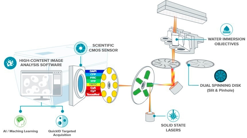 Scalable ImageXpress Confocal HT.ai High-Content Imaging System