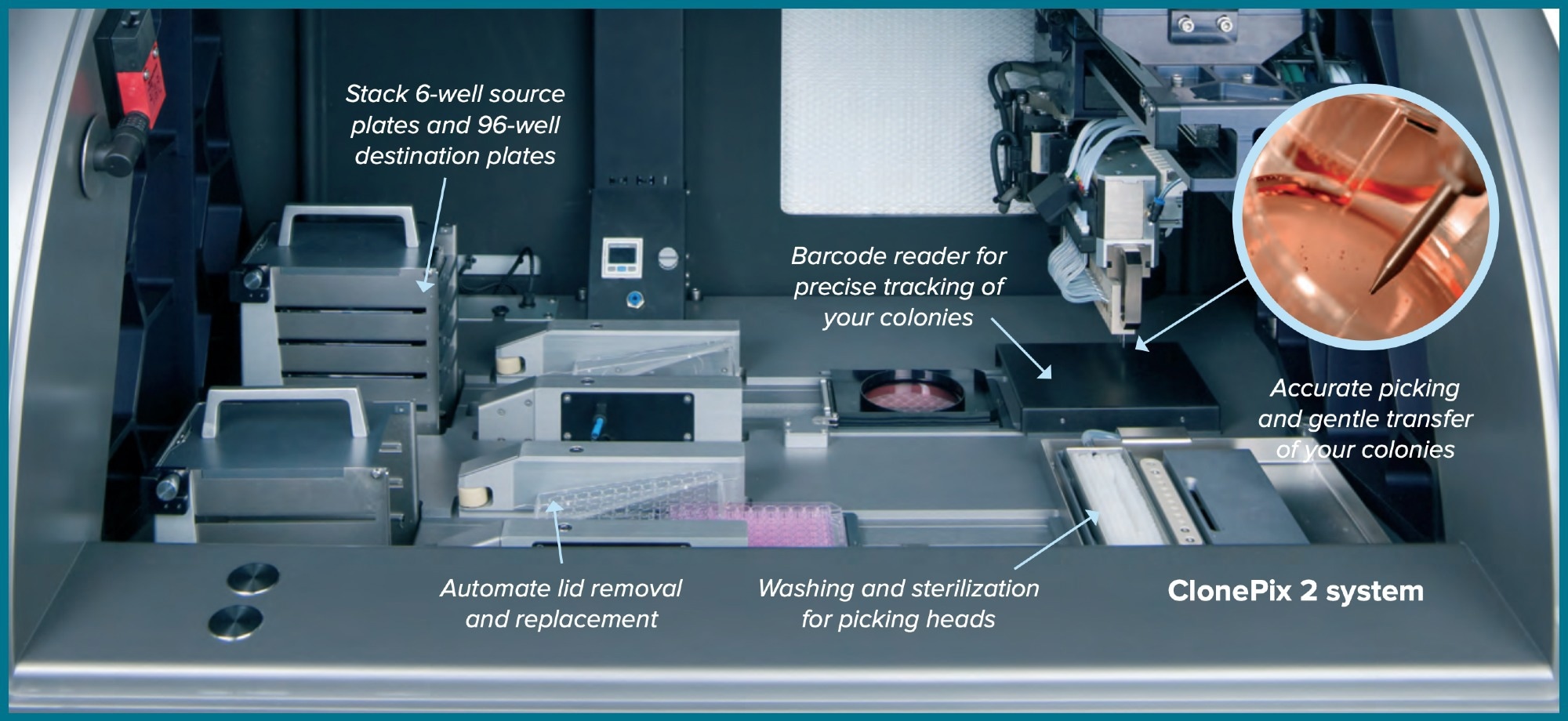 Complete automated screening using the ClonePix 2 Mammalian Colony Picker