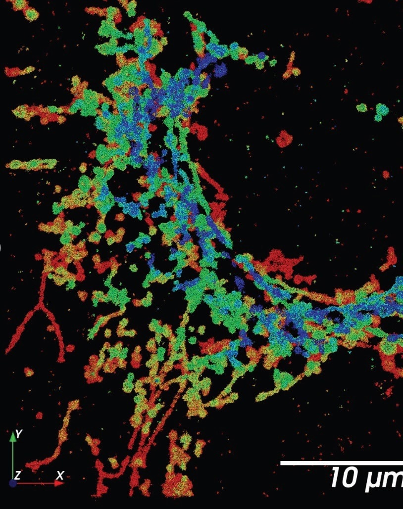Vutara VXL-Super-resolution microscopy workstation