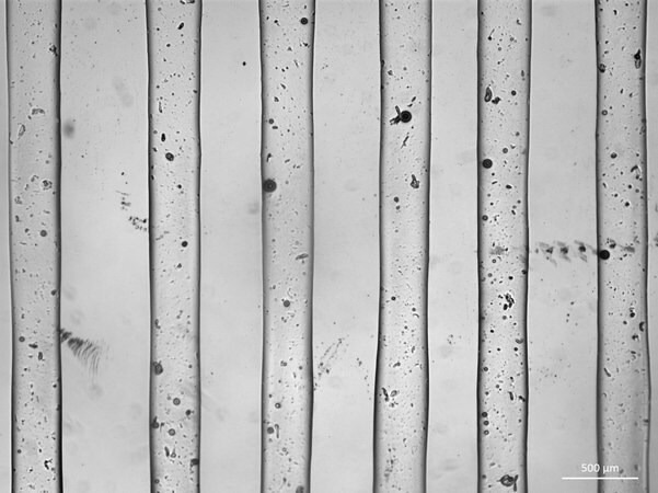 Printed Fibers using a G30 needle; scale bar represents 500 μm.