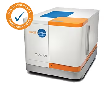 Maurice-Imaged capillary electrophoresis platform