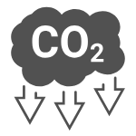 Reduced shipment packaging cuts carbon footprint of transport.
