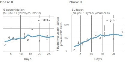 Highly characterized donor Human HEPATOPAC® cultures