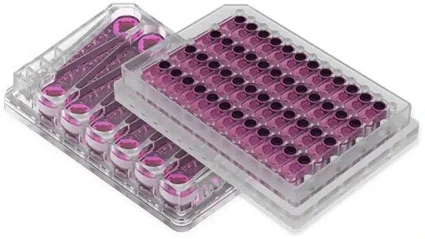 PhysioMimix® Liver-12 and -48 plates for in vitro 3D human liver tissue recreation