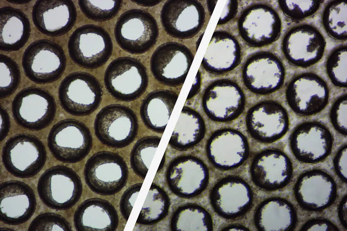 Physiomimix® Compatible 3D validated cells for the expedited human translatable data delivery