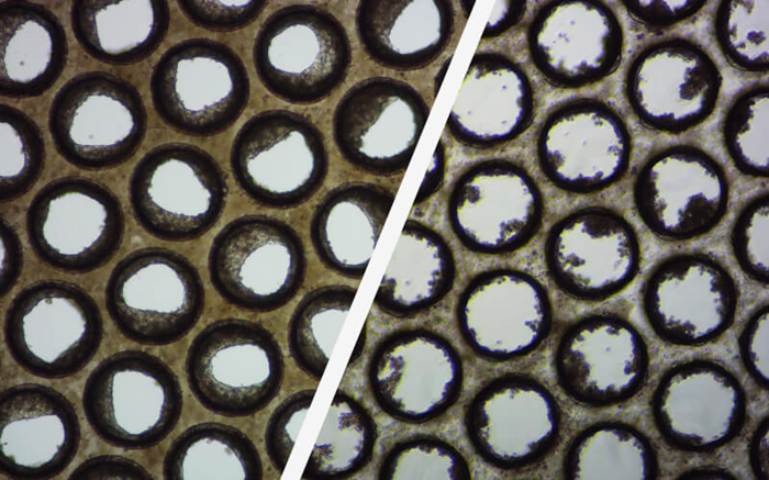 Physiomimix® Compatible 3D validated cells for the expedited human translatable data delivery