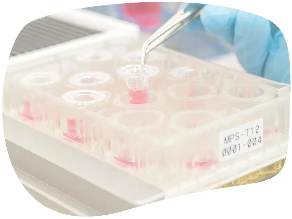 In vitro ADME services for measuring drug ADME without animal use