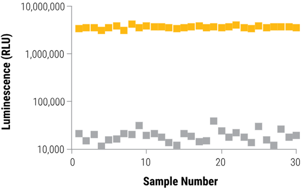 CellTiter-Glo® 3D Cell Viability Assay for 3D microtissue cultures