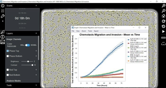 Intuitive user interface. Automated image analysis enables real-time review of time-course data and on-the-fly decision-making