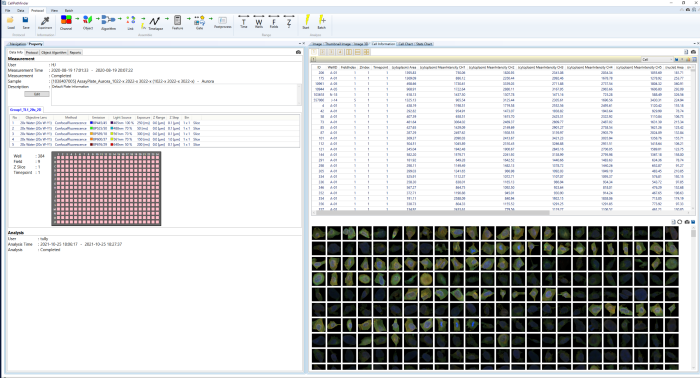Optimizing cell imaging processes with CellPathfinder