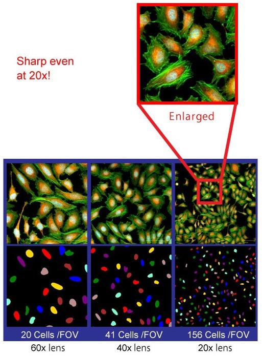 CellVoyager CQ3000: Fast, high-resolution 3D imaging for cell culture