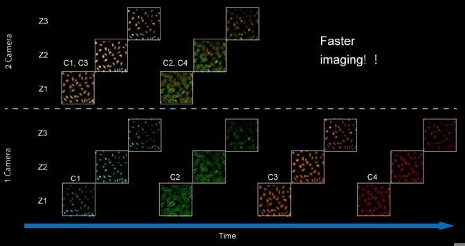 CellVoyager CQ3000: Fast, high-resolution 3D imaging for cell culture