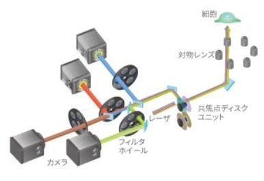 CellVoyager CV8000: For cell-based assay screening