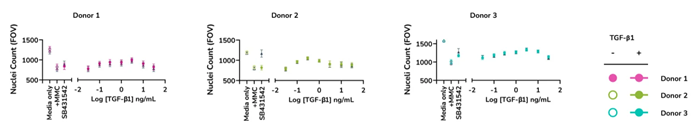 Controlled cell proliferation. Optimized assay culture conditions minimize the effects of TGF-β1 on nuclei count. Human lung fibroblasts from three healthy donors were stimulated with TGF-β1 and stained for cell nuclei